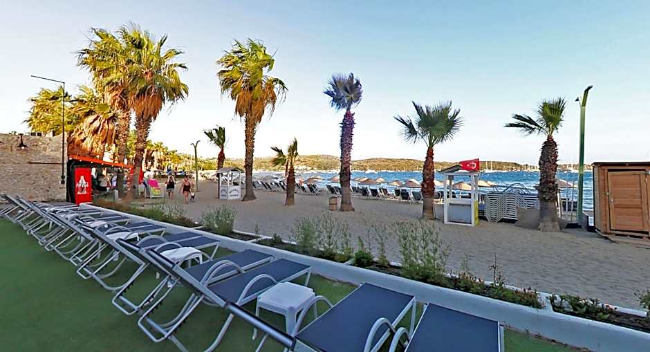 Very Chic Adult Only 18 