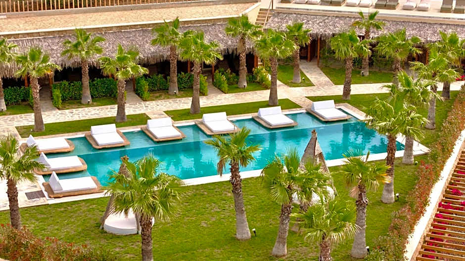 SANIMAR By Mono Alex