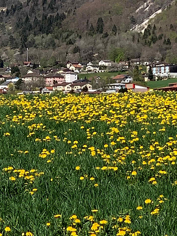 Chez Dodo 2534 Orvin Le Foncet