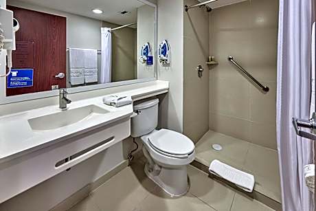 Suite, 1 Queen Bed with Sofa bed (1 Queen Bed and 1 Double Sofa Bed)