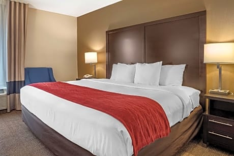 1 Queen Bed, Nonsmoking, Accessible