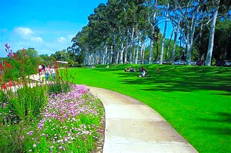 Luxurious City Apartment