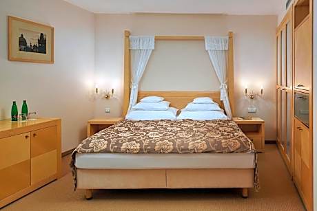 Standard Double Room with Atrium View