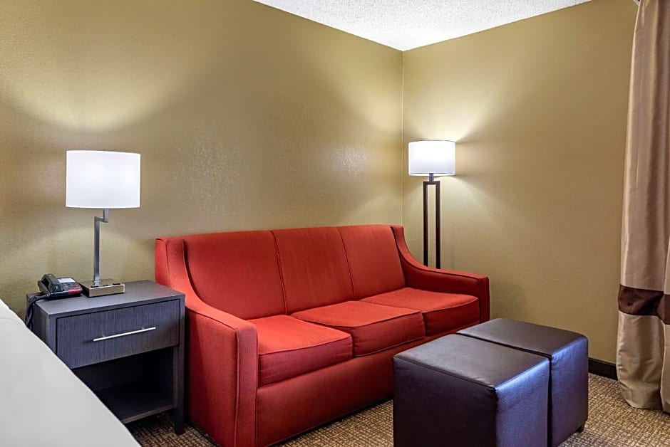 Comfort Inn Opelika - Auburn