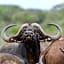 Kwandwe Private Game Reserve - Fort House