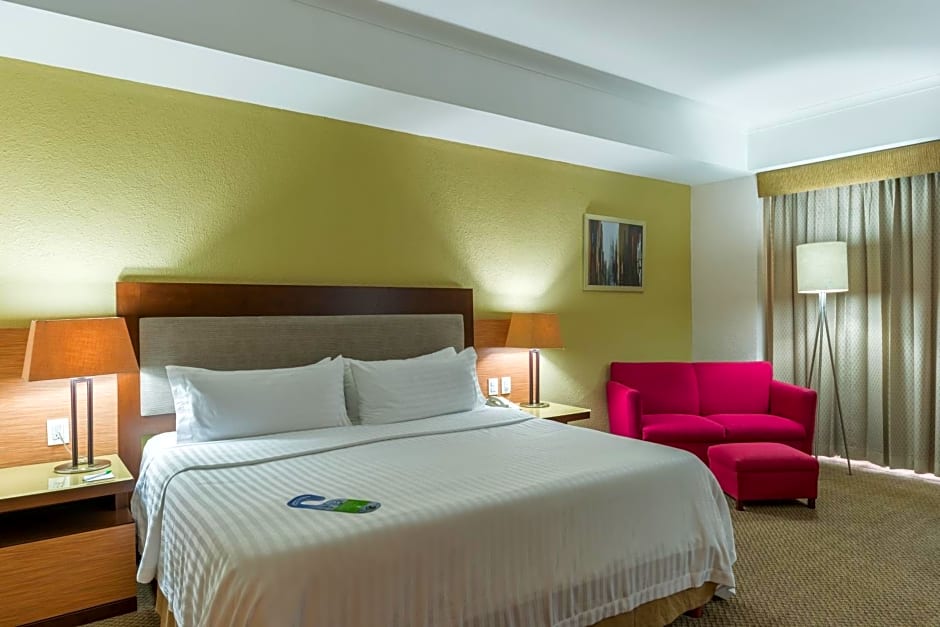 Holiday Inn Guadalajara Select By IHG