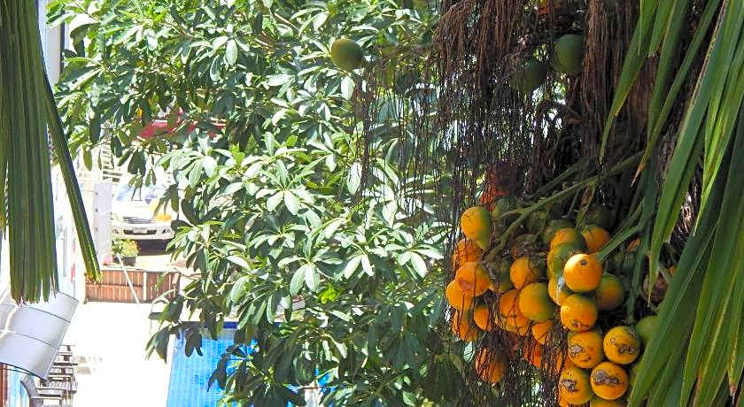 Jinta Andaman Kata Beach