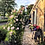 The Rose
