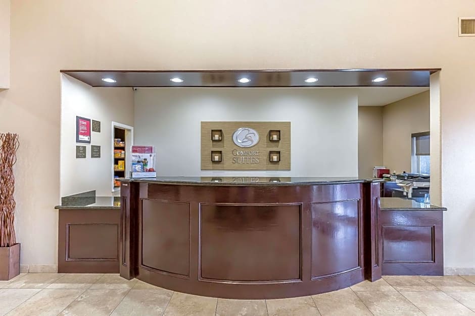 Comfort Suites Houston IAH Airport - Beltway 8