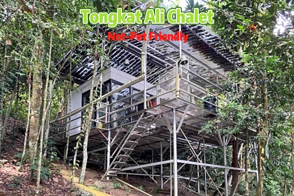 Gibbon Retreat Bentong