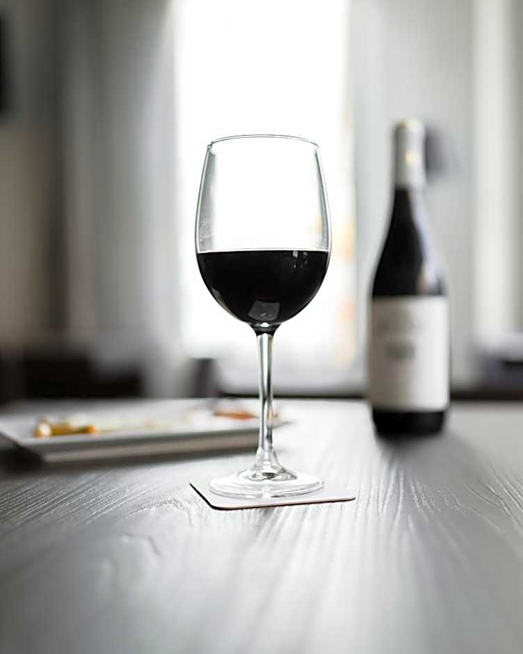 Hotel Veracruz Plaza & Spa