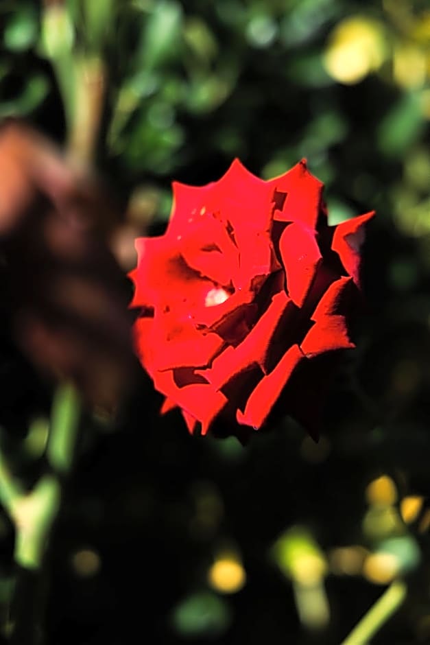 Santa Maria Apartments