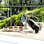 Mercure Almaty City Center
