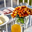 Luna Arcos Hotel Nature & Wellness