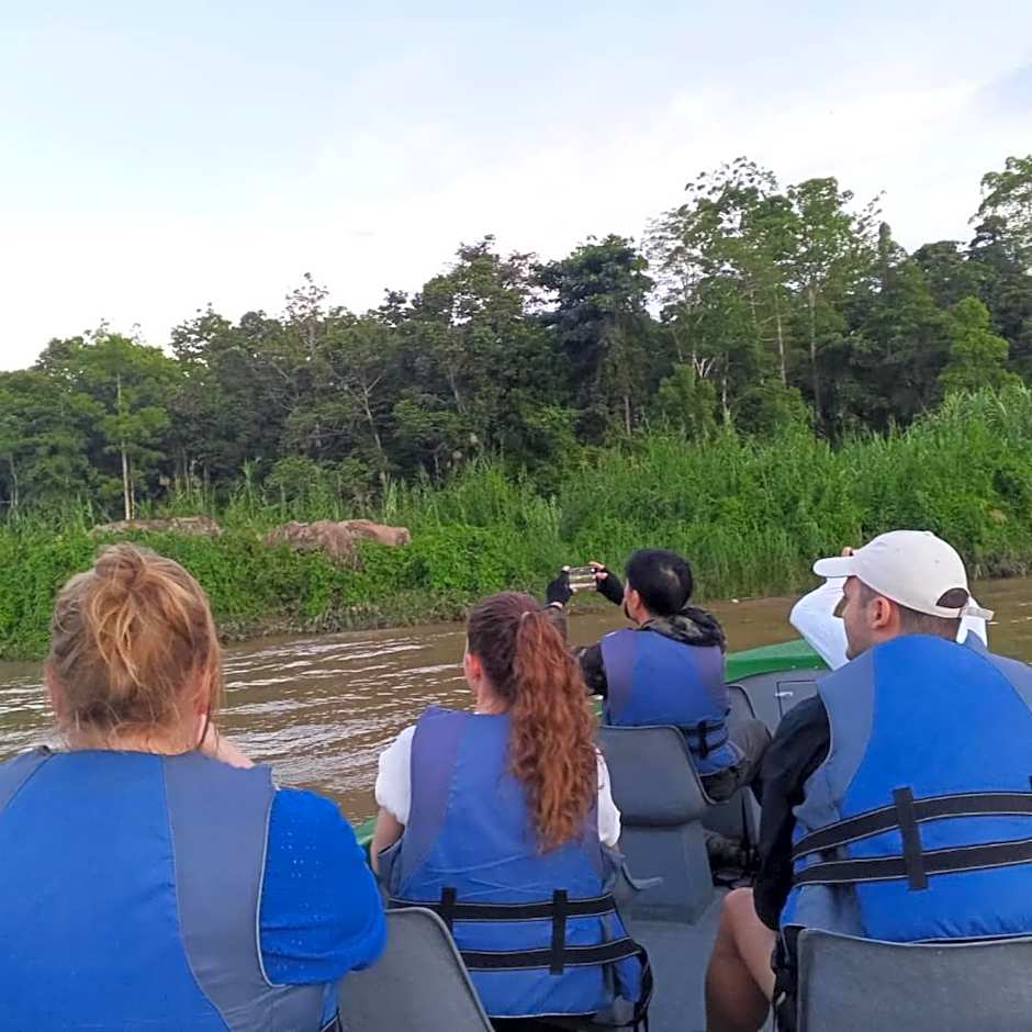 Borneo Jungle Adventure