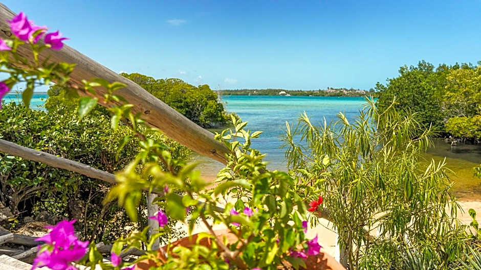 The Mida Creek Hotel