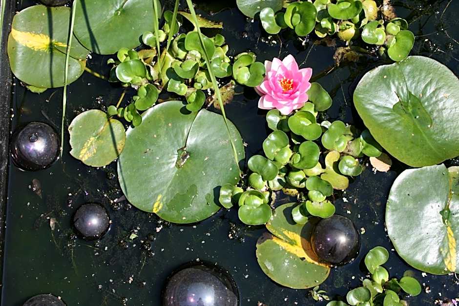 B&B La Chambre d'à Côté