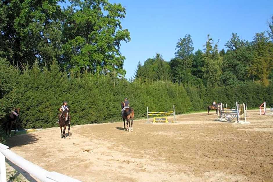 Sorgerhof