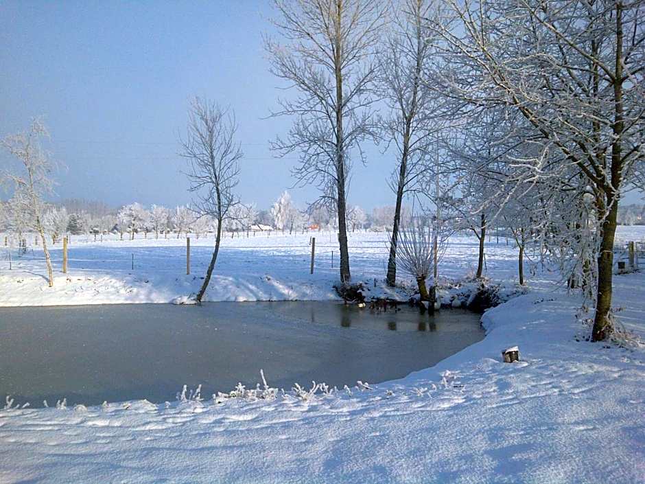 Paardenhof Guesthouse