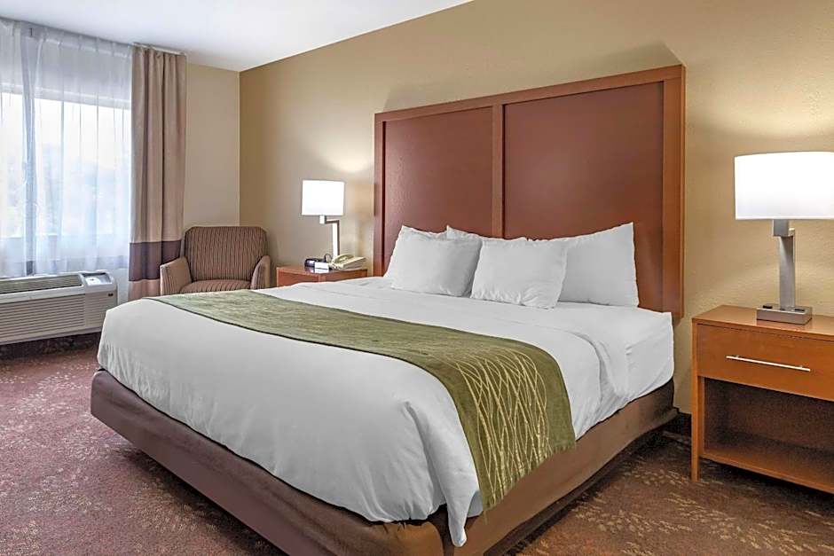 Comfort Inn Okemos