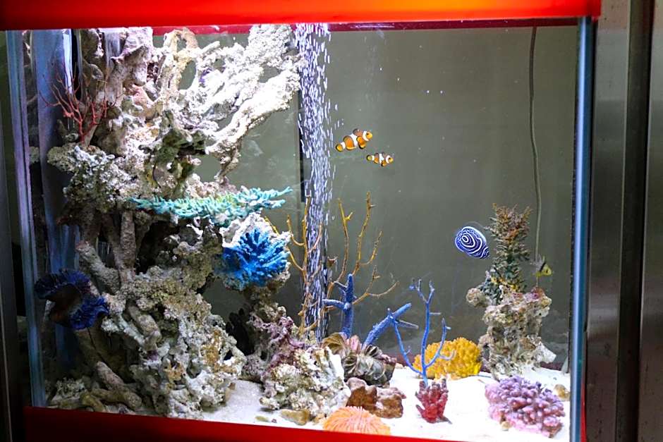 Business Hotel Raicho