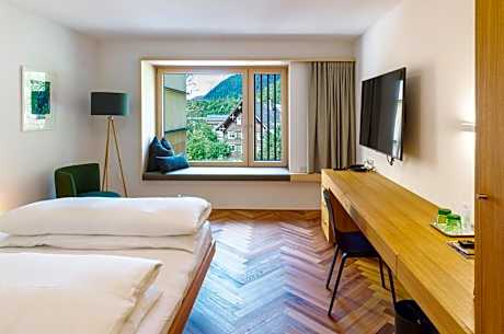 Double Room with Mountain View