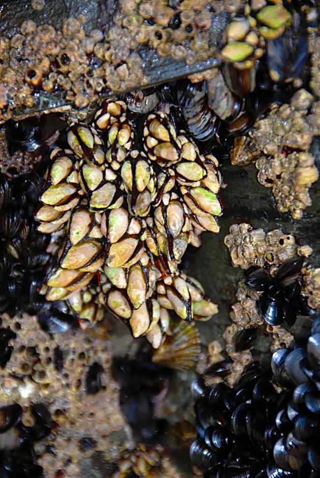 Hotel Playa de las Catedrales