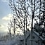 Apple Orchard Inn