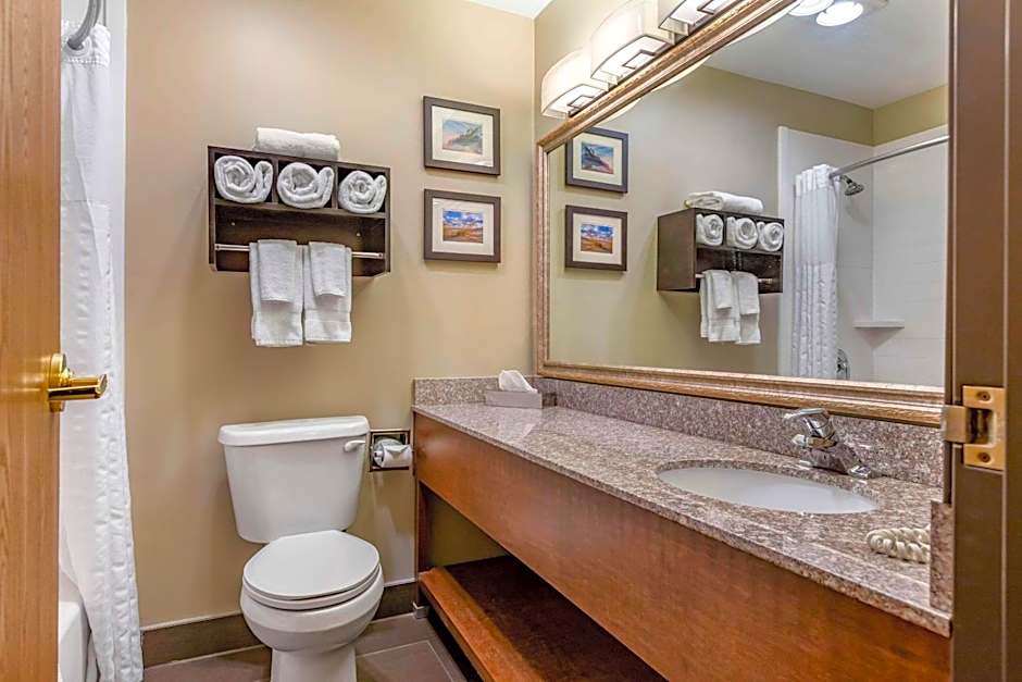 Comfort Inn Ludington near US-10