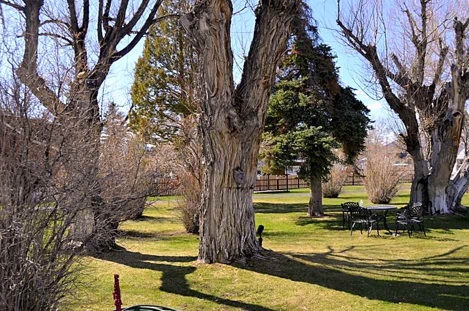 Silver Maple Inn