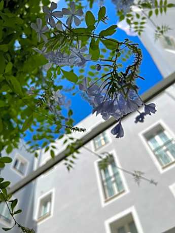 Hotel San Miguel Menorca