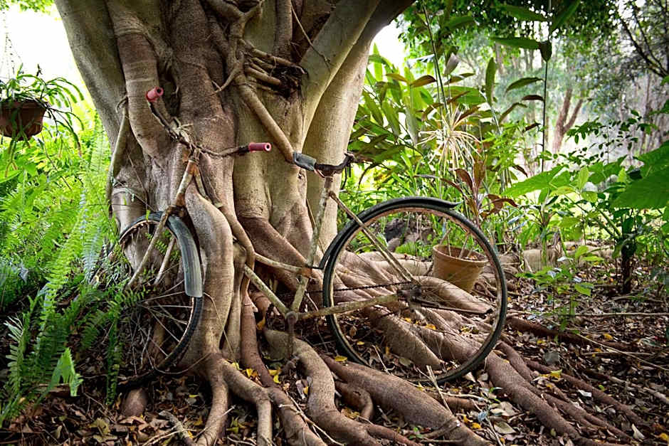 Sharlynn by the River