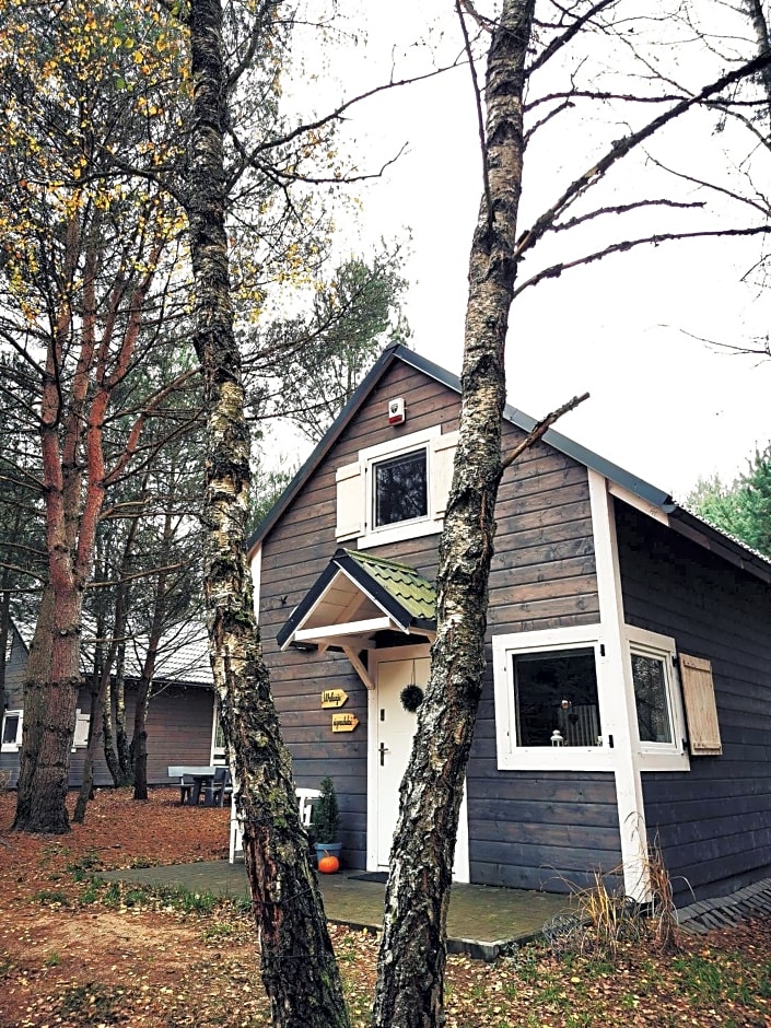 Domki Między Drzewami