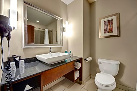 1 King Standard Mobility Accessible Accessible Tub