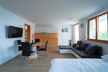 Apartment with Terrace