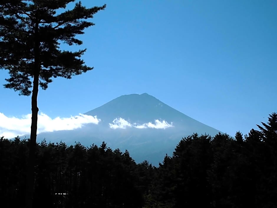 Evergreen-Fuji
