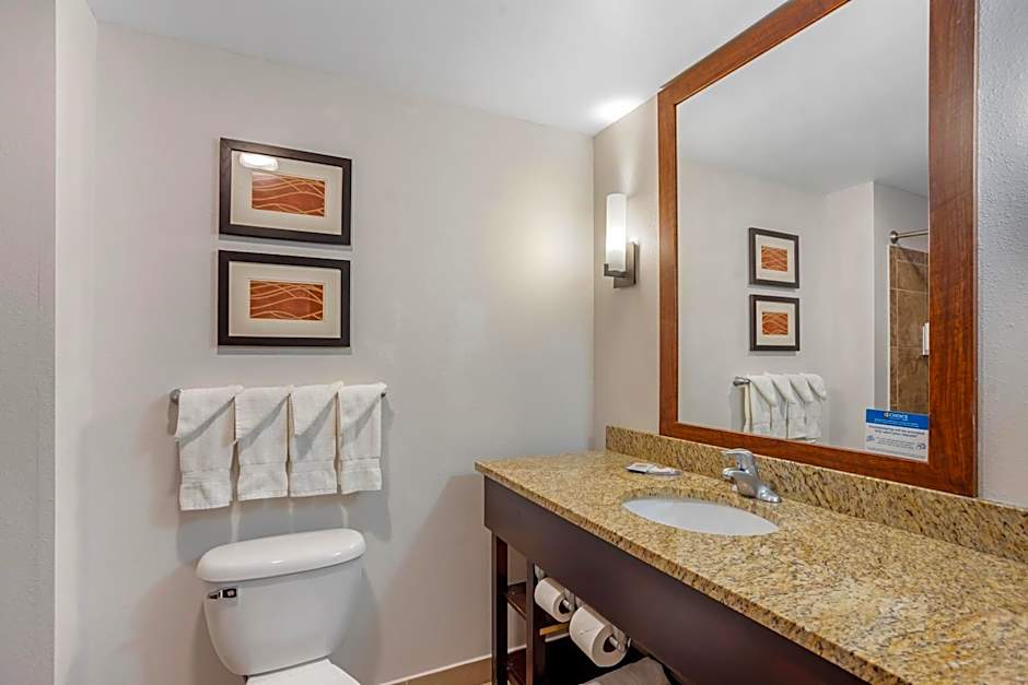 Comfort Inn & Suites Sayre