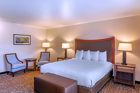 Best Western Plus Royal Oak Hotel
