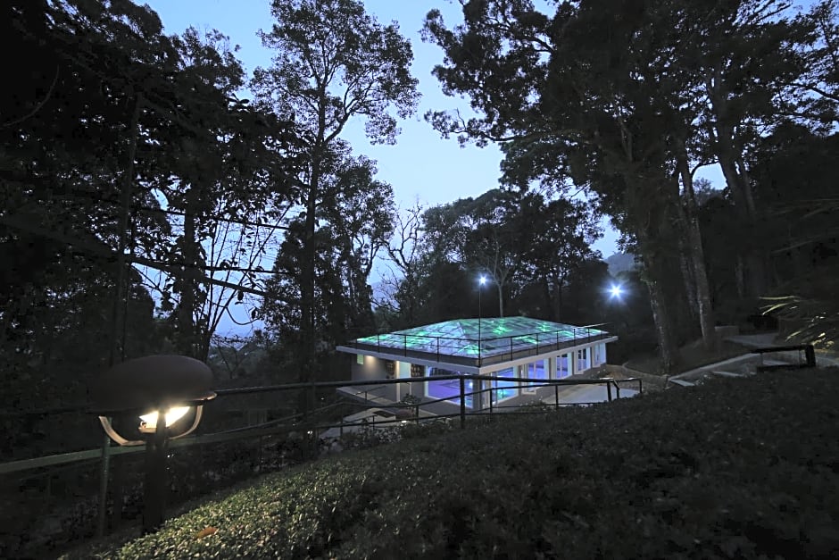 The Tall Trees Munnar