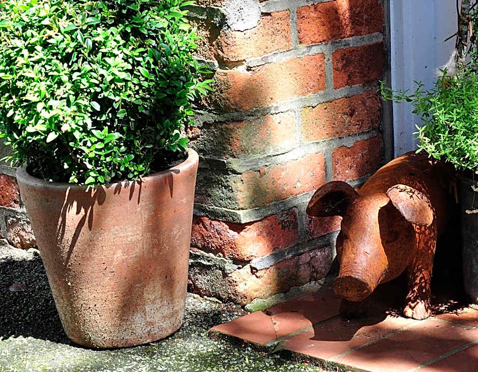 Friesen-Lodge Apartments