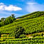 Best Western Hotel & SPA Le Schoenenbourg