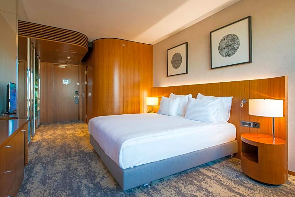 Crowne Plaza Kayseri By IHG