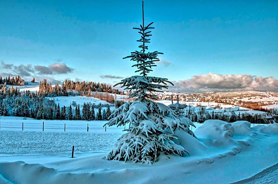 Dom Wypoczynkowy Orełki