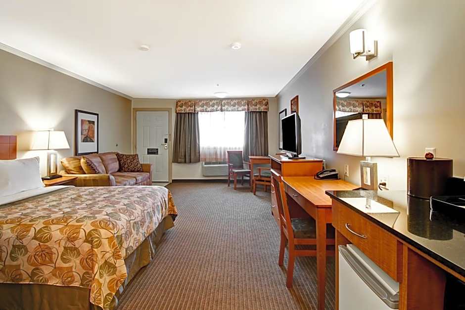 Canalta Jurassic - Drumheller