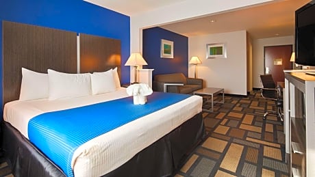Best Western Galleria Inn & Suites