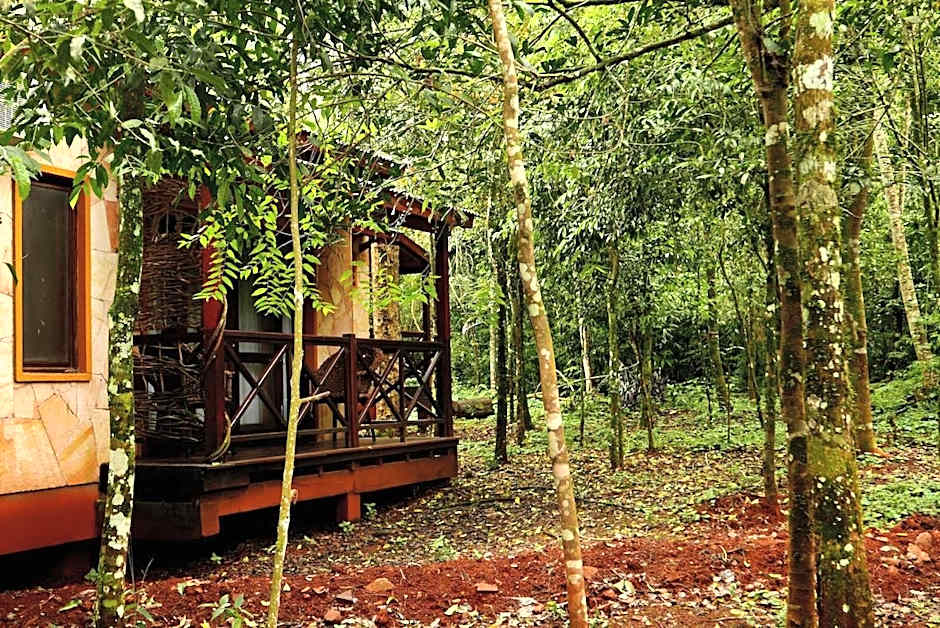 Selva de Laurel