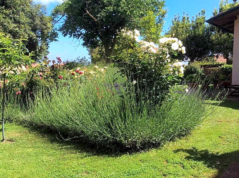 La Primavera B&B