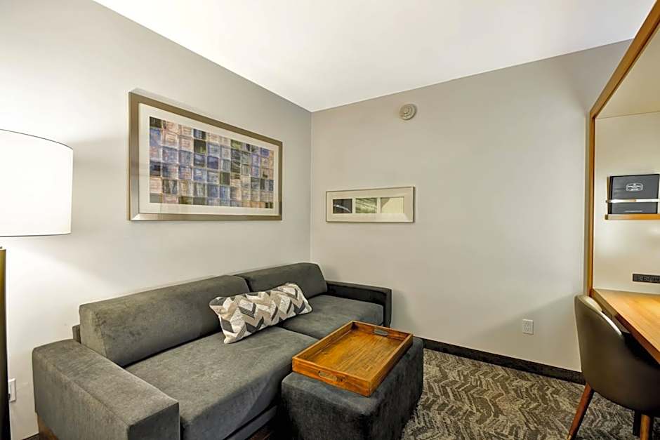 SpringHill Suites by Marriott Tallahassee Central