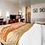 Comfort Inn Elko