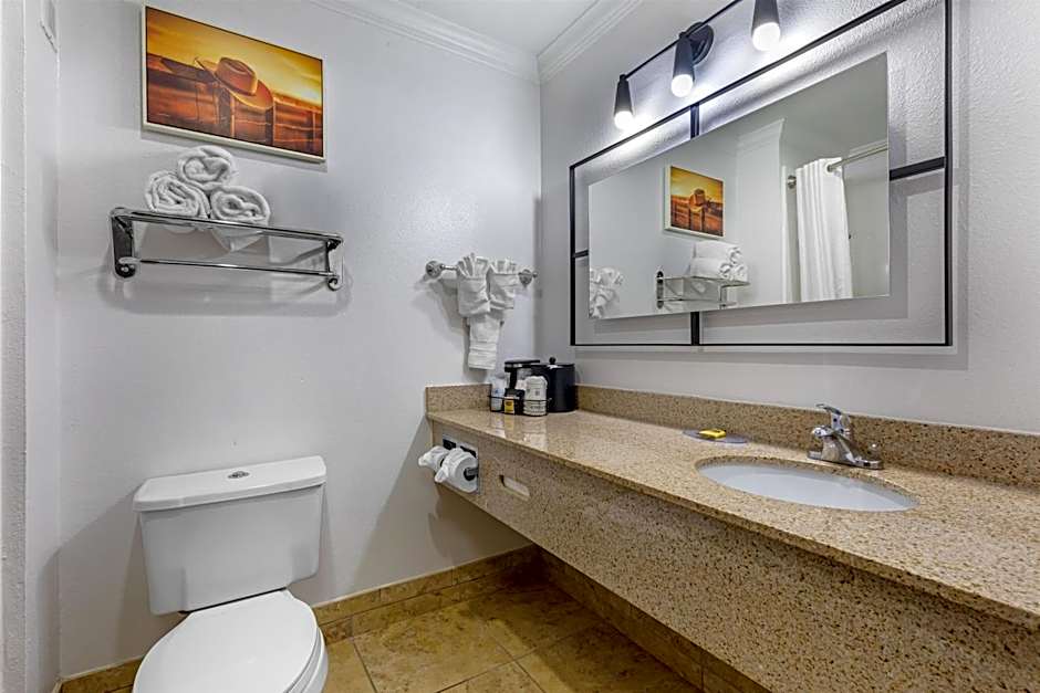 Best Western Plus Southpark Inn & Suites